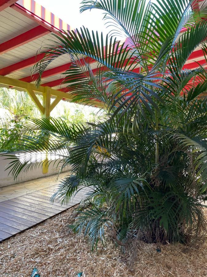 Jardin Sur Mer Terre-De-Haut Extérieur photo