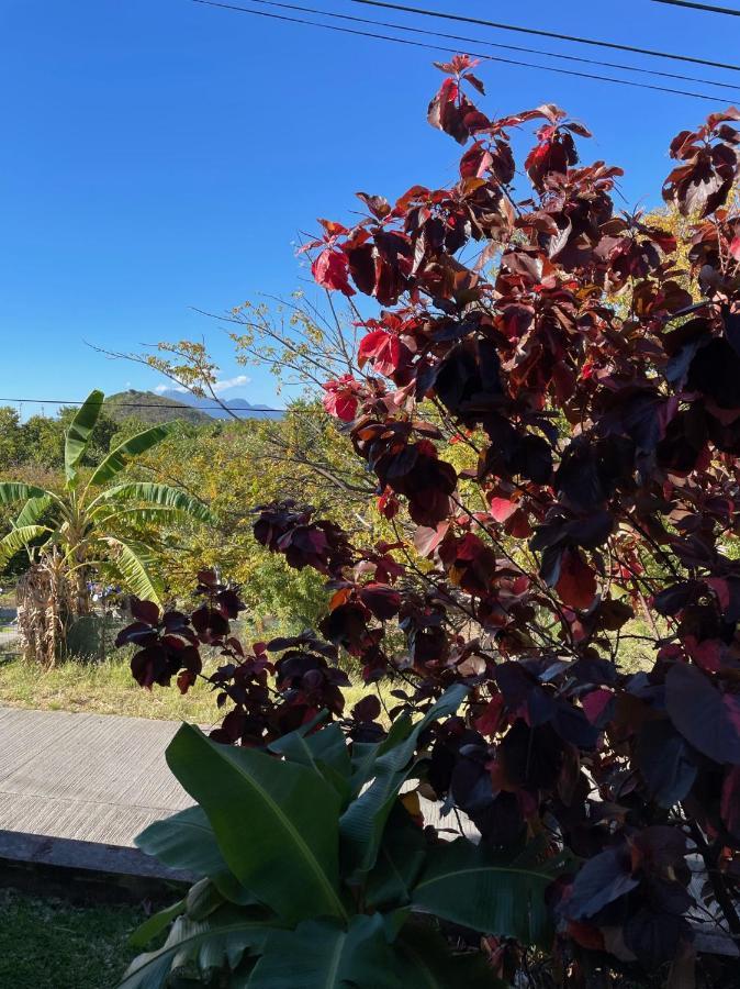 Jardin Sur Mer Terre-De-Haut Extérieur photo