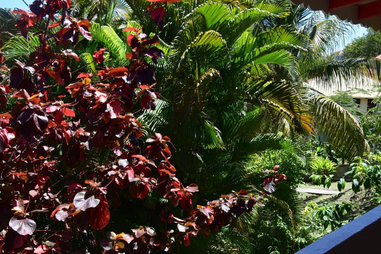 Jardin Sur Mer Terre-De-Haut Extérieur photo