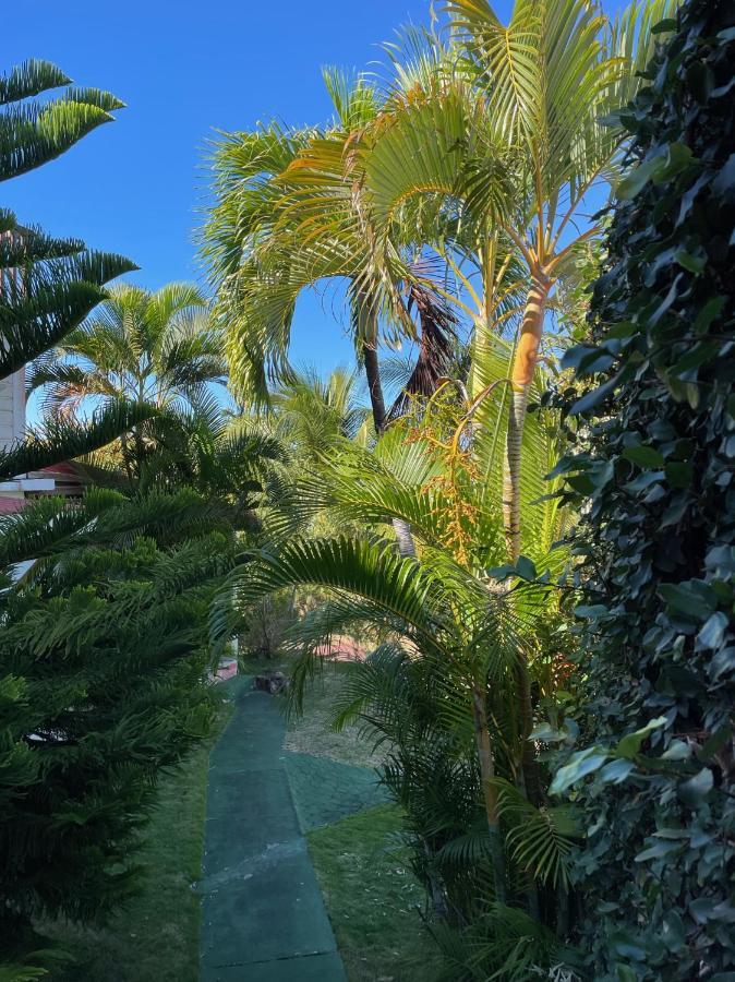 Jardin Sur Mer Terre-De-Haut Extérieur photo