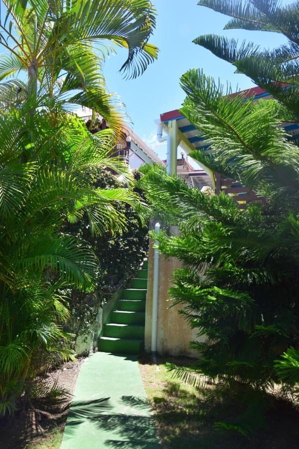Jardin Sur Mer Terre-De-Haut Extérieur photo